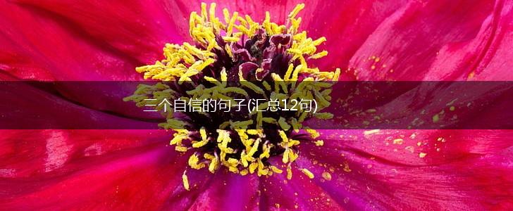 三个自信的句子(汇总12句),第1张