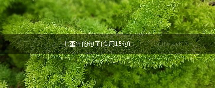 七堇年的句子(实用15句),第1张