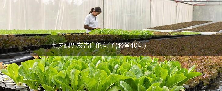 七夕跟男友告白的句子(必备40句),第1张