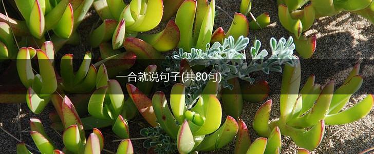 一合就说句子(共80句),第1张