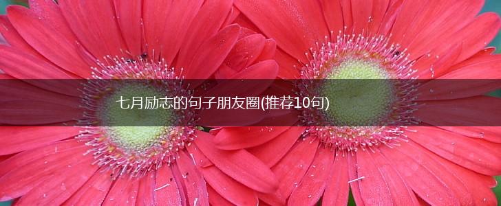 七月励志的句子朋友圈(推荐10句),第1张