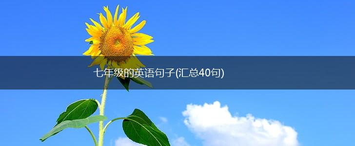 七年级的英语句子(汇总40句),第1张