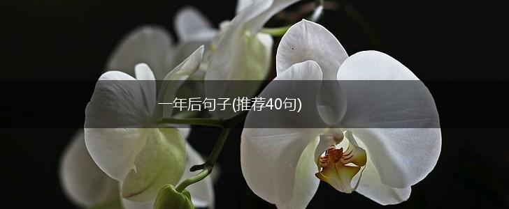 一年后句子(推荐40句),第1张