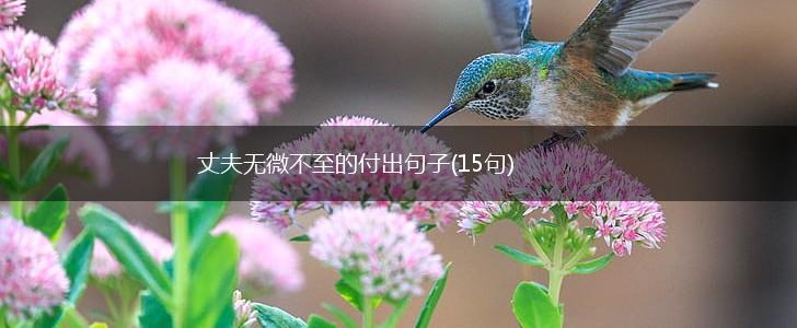 丈夫无微不至的付出句子(15句),第1张