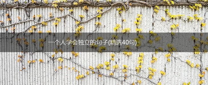 一个人学会独立的句子(精选40句),第1张
