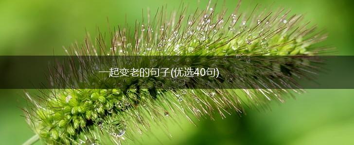 一起变老的句子(优选40句),第1张