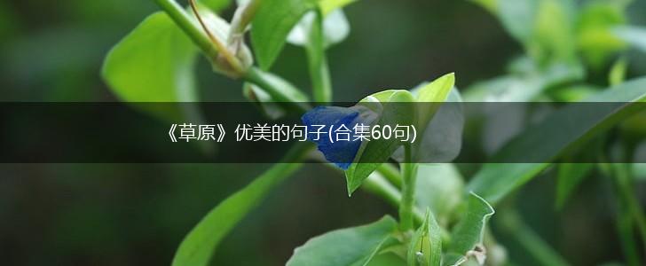 《草原》优美的句子(合集60句),第1张