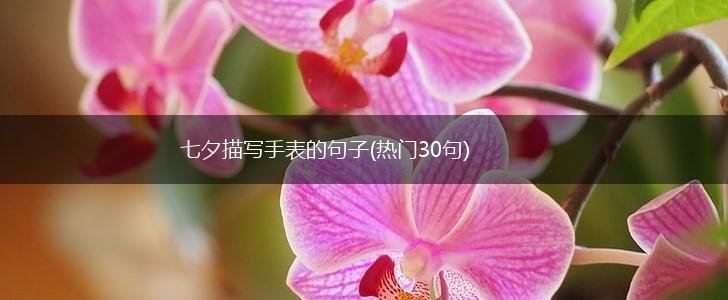 七夕描写手表的句子(热门30句),第1张