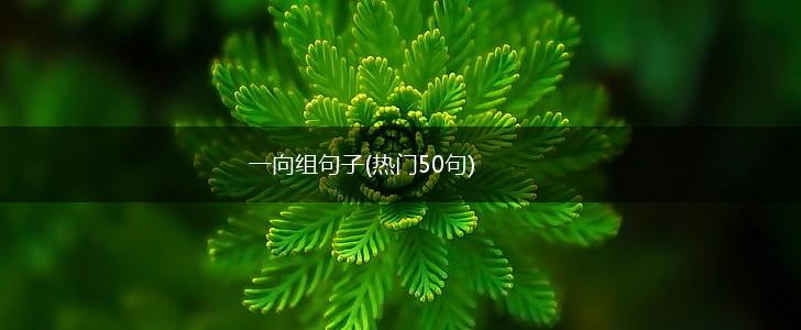 一向组句子(热门50句),第1张