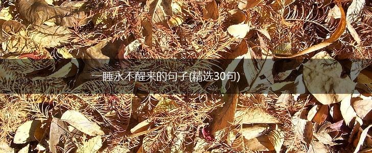 一睡永不醒来的句子(精选30句),第1张