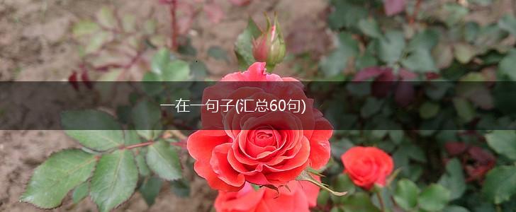 一在一句子(汇总60句),第1张