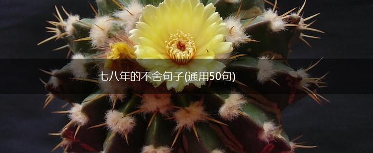 七八年的不舍句子(通用50句),第1张