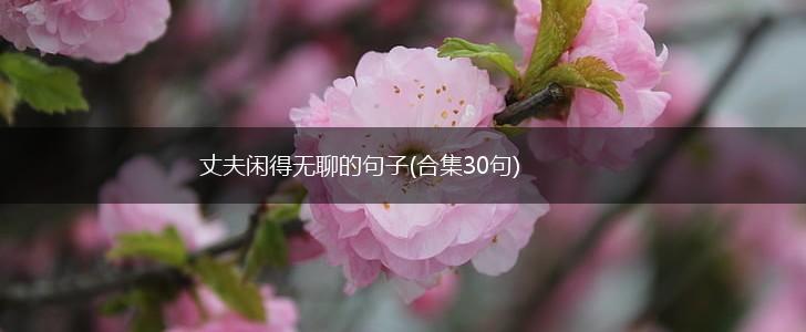 丈夫闲得无聊的句子(合集30句),第1张