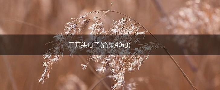 三开头句子(合集40句),第1张