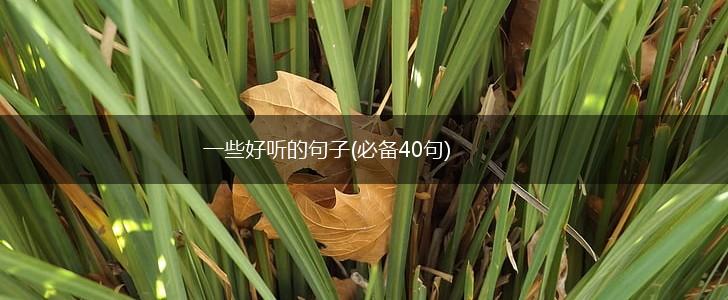 一些好听的句子(必备40句),第1张