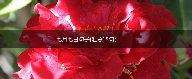 七月七日句子(汇总15句),第1张