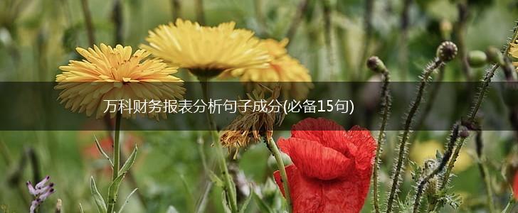 万科财务报表分析句子成分(必备15句),第1张
