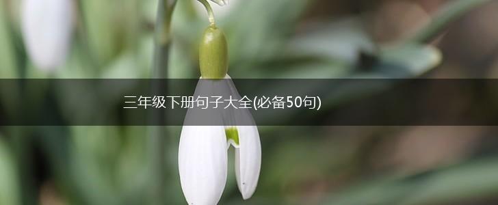 三年级下册句子大全(必备50句),第1张