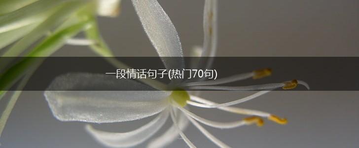 一段情话句子(热门70句),第1张