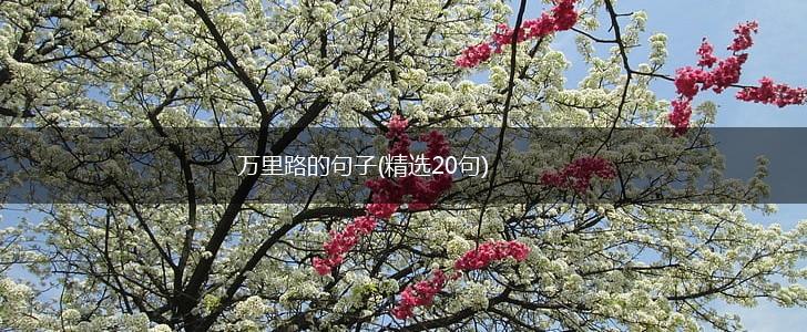万里路的句子(精选20句),第1张