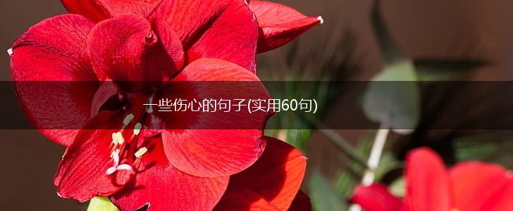 一些伤心的句子(实用60句),第1张