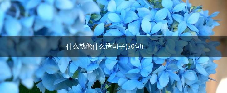 一什么就像什么造句子(50句),第1张
