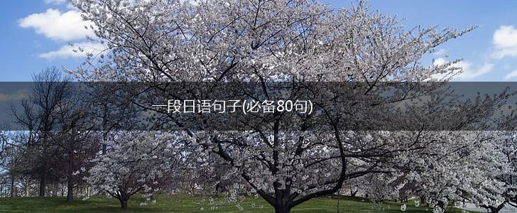 一段日语句子(必备80句),第1张