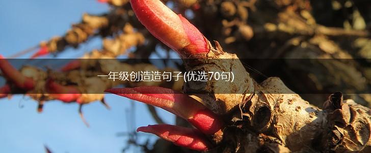 一年级创造造句子(优选70句),第1张