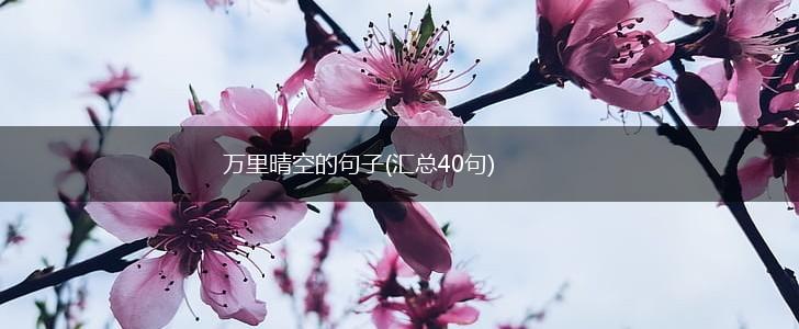 万里晴空的句子(汇总40句),第1张