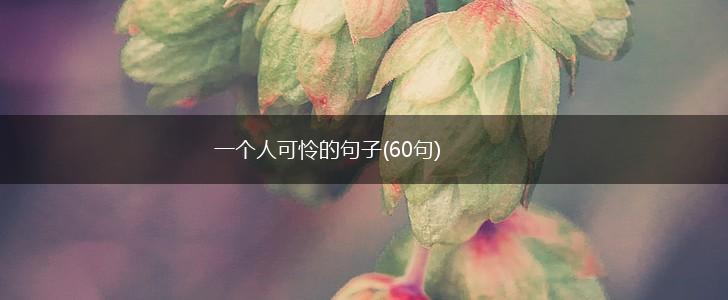 一个人可怜的句子(60句),第1张
