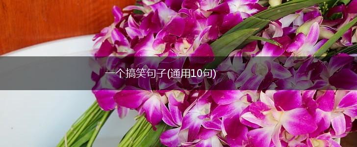 一个搞笑句子(通用10句),第1张