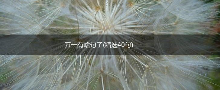万一有啥句子(精选40句),第1张