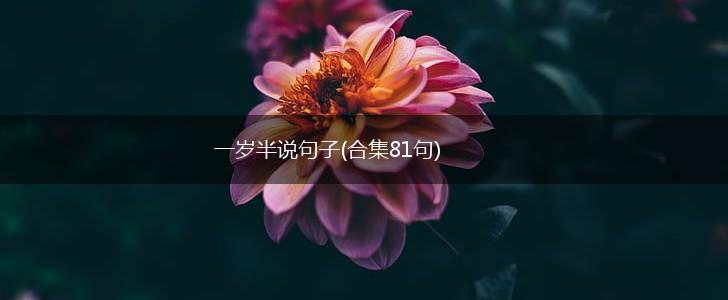 一岁半说句子(合集81句),第1张