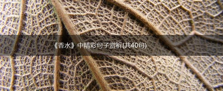 《香水》中精彩句子赏析(共40句),第1张