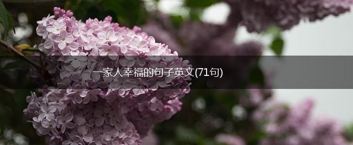 一家人幸福的句子英文(71句),第1张