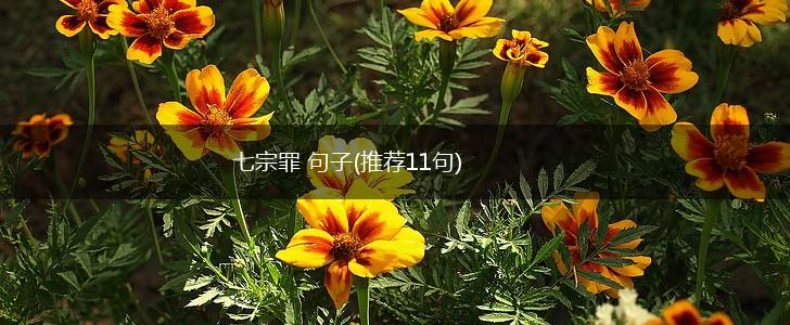 七宗罪 句子(推荐11句),第1张