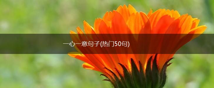一心一意句子(热门50句),第1张