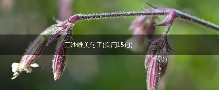 三沙唯美句子(实用15句),第1张