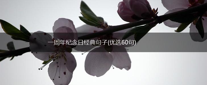 一周年纪念日经典句子(优选60句),第1张