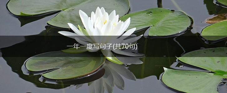 一年一度写句子(共70句),第1张