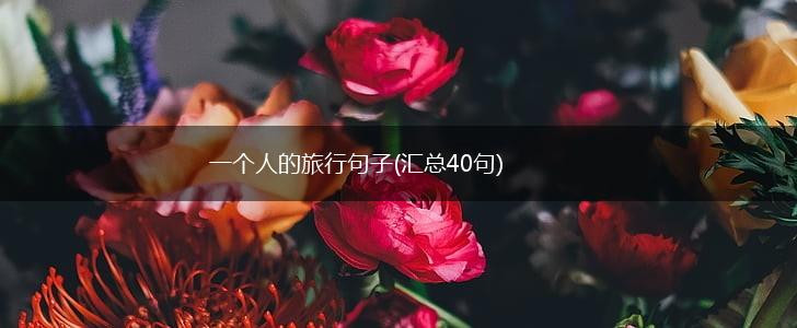 一个人的旅行句子(汇总40句),第1张