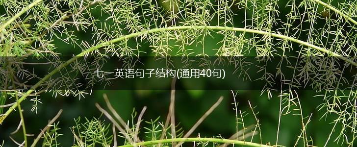七一英语句子结构(通用40句),第1张