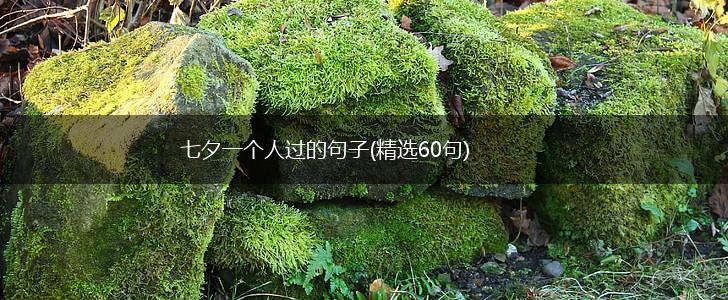 七夕一个人过的句子(精选60句),第1张