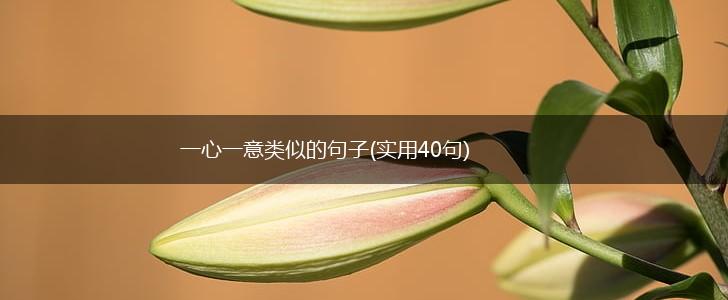 一心一意类似的句子(实用40句),第1张