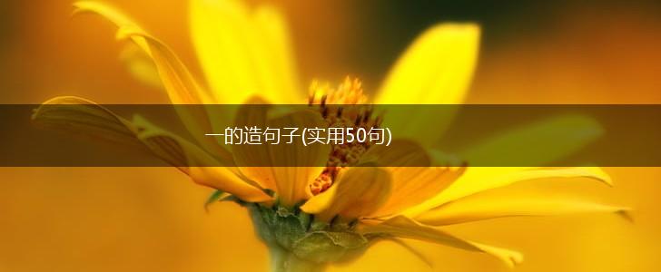 一的造句子(实用50句),第1张