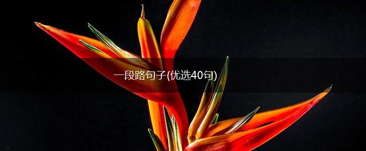 一段路句子(优选40句),第1张