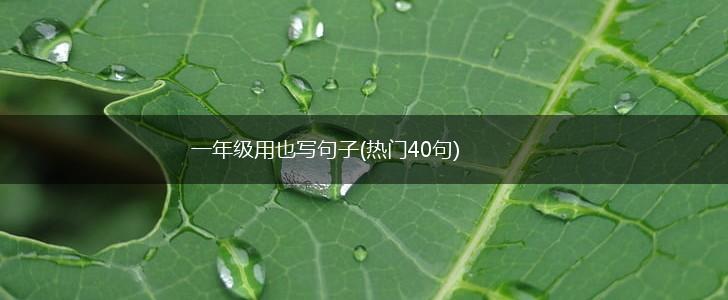 一年级用也写句子(热门40句),第1张