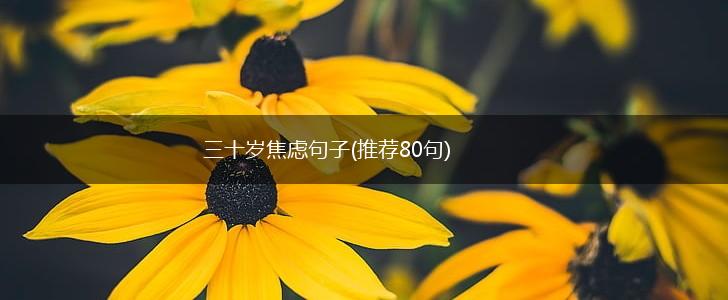 三十岁焦虑句子(推荐80句),第1张