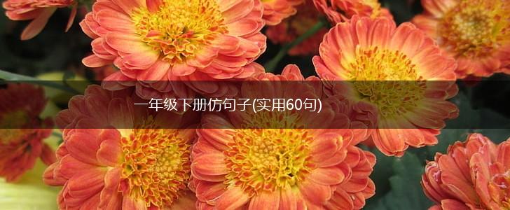 一年级下册仿句子(实用60句),第1张