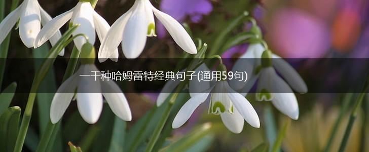一千种哈姆雷特经典句子(通用59句),第1张